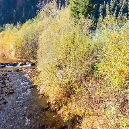 Alluring In Bichlbachh With Terrace *