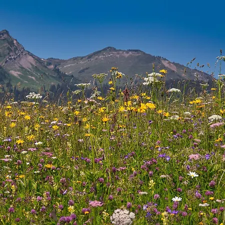 In Near Slopes Lejlighed